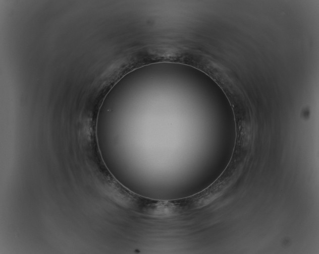 X0000091700612200708241224