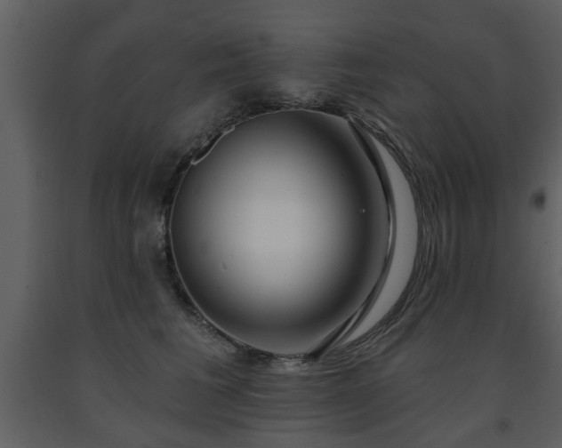 X0000091700613200708241224