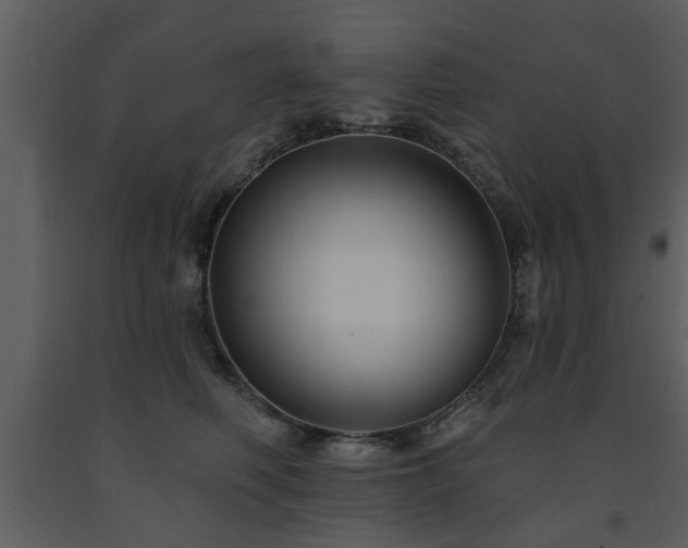 X0000091700614200708241224