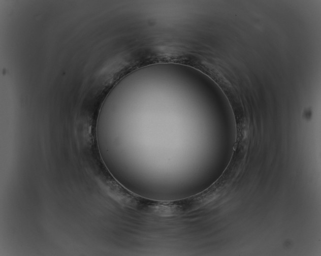 X0000091700615200708241224