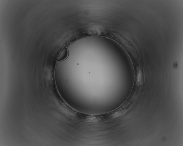 X0000091700616200708241224