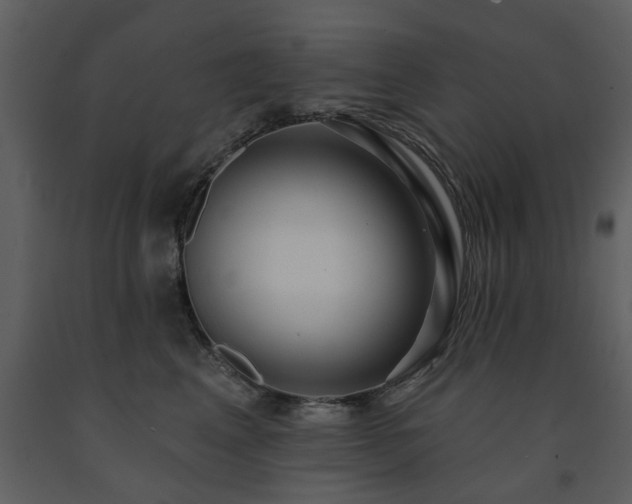 X0000091700617200708241224