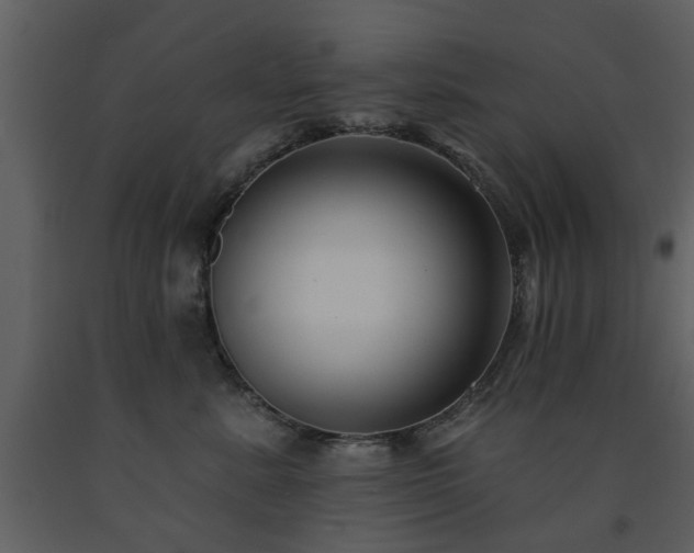 X0000091700619200708241224