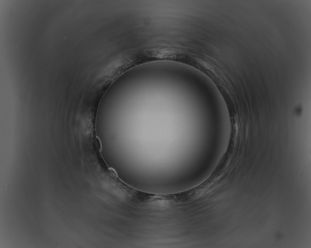 X0000091700620200708241224