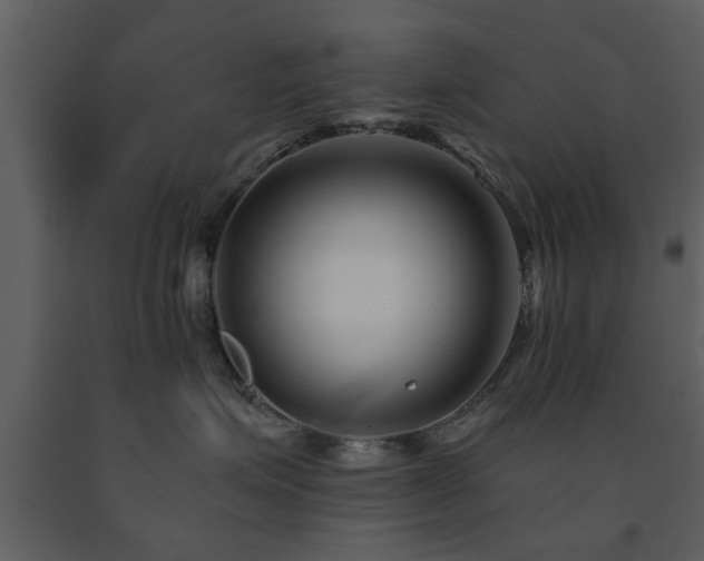 X0000091700623200708241224