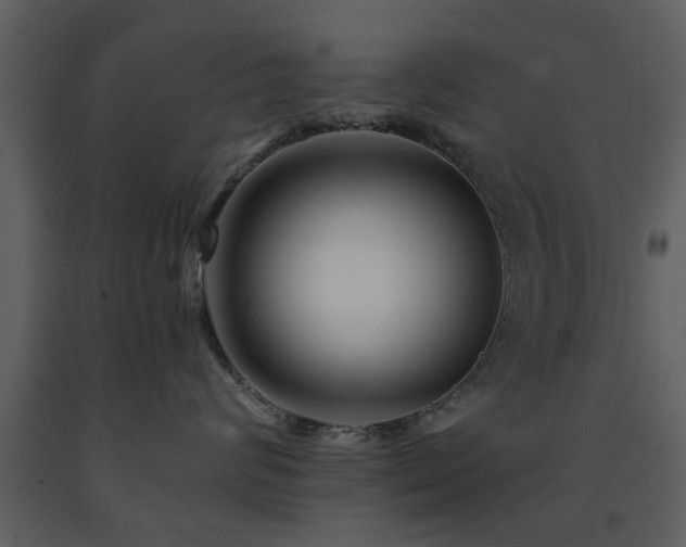 X0000091700624200708241224