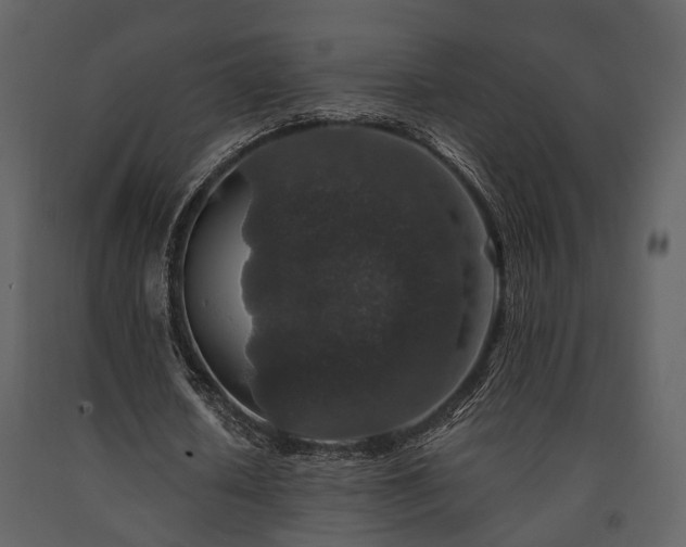 X0000091700626200708241224