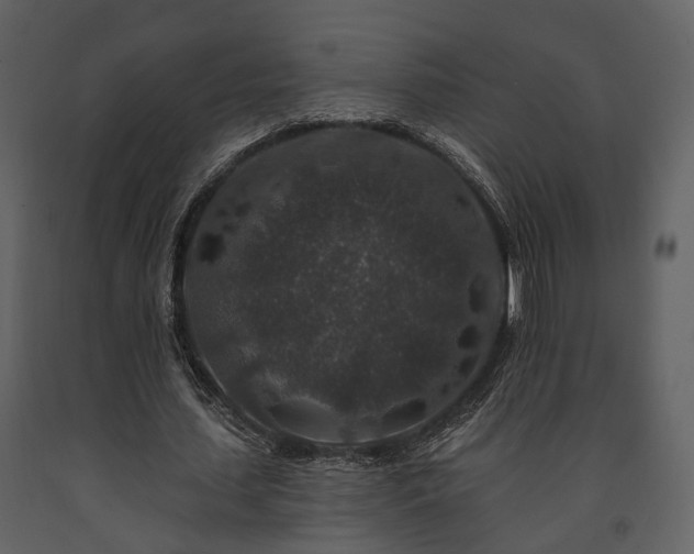 X0000091700627200708241224
