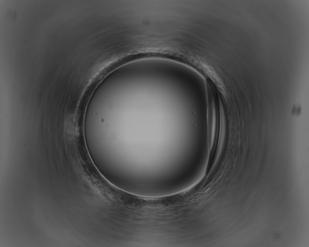 X0000091700628200708241224