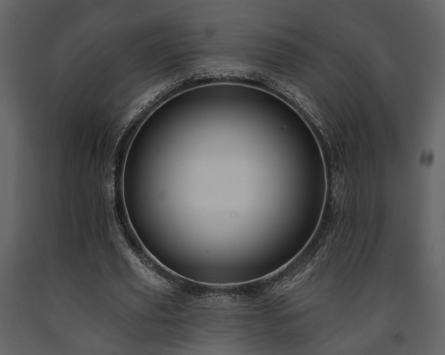 X0000091700629200708241224
