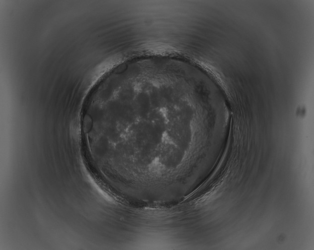X0000091700630200708241224