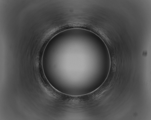 X0000091700631200708241224