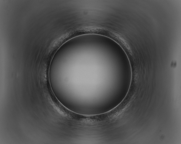 X0000091700633200708241224