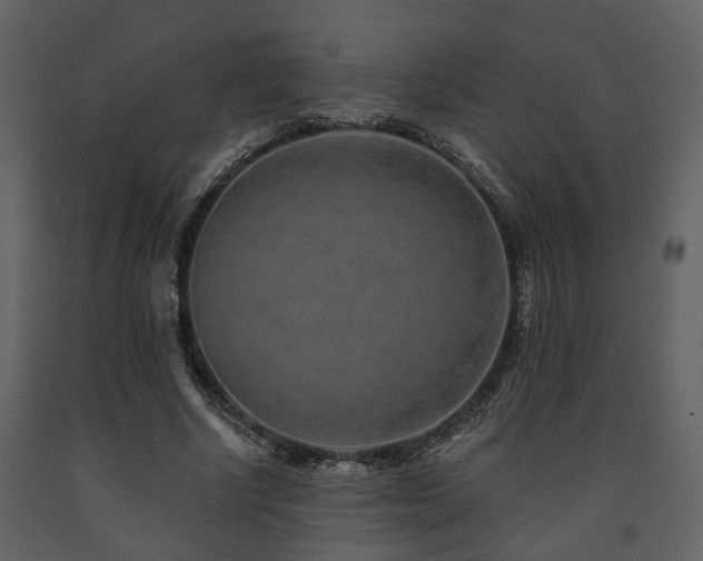 X0000091700634200708241224