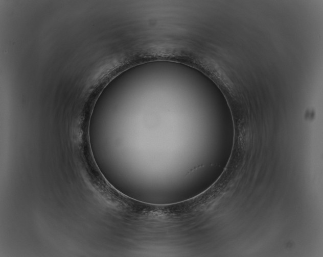 X0000091700635200708241224
