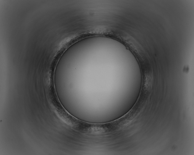 X0000091700636200708241224