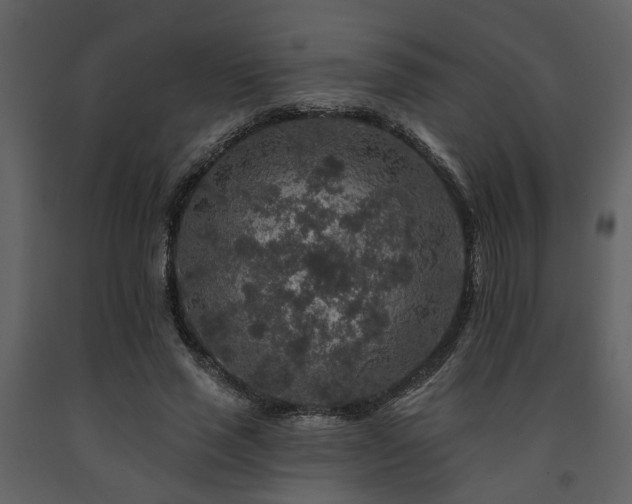 X0000091700637200708241224