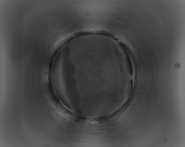 X0000091700640200708241224