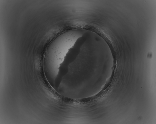 X0000091700641200708241224