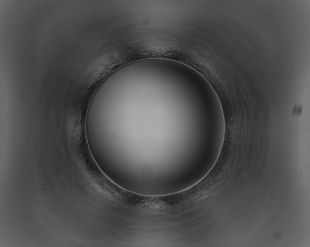 X0000091700642200708241224