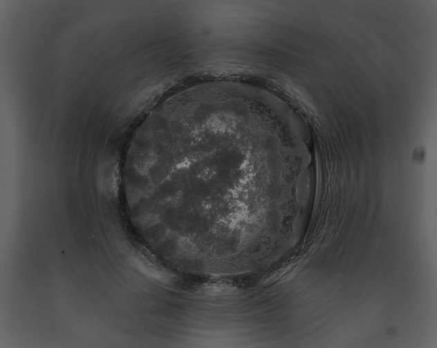 X0000091700644200708241224
