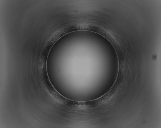 X0000091700645200708241224