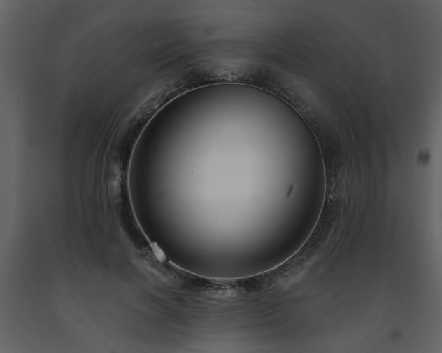 X0000091700646200708241224