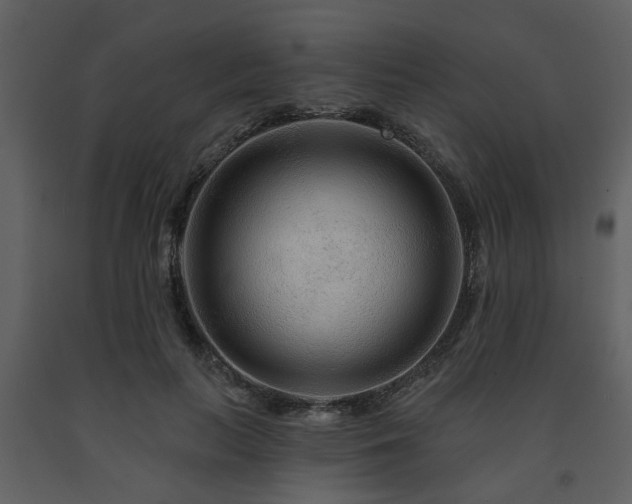 X0000091700647200708241224