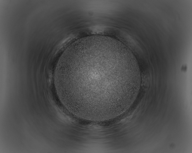 X0000091700648200708241224