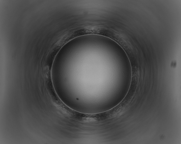 X0000091700649200708241224