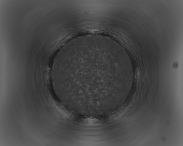X0000091700650200708241224