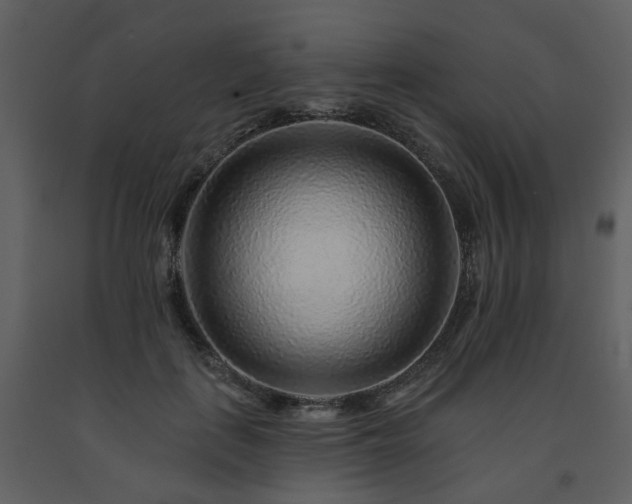 X0000091700651200708241224