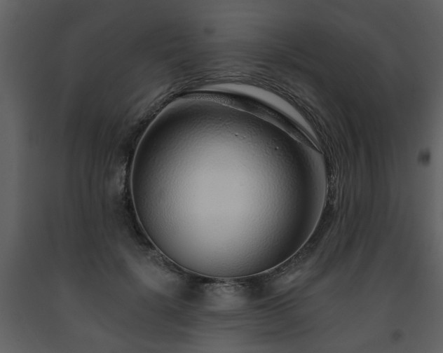 X0000091700652200708241224