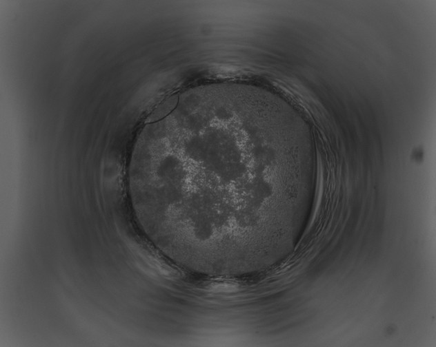 X0000091700653200708241224