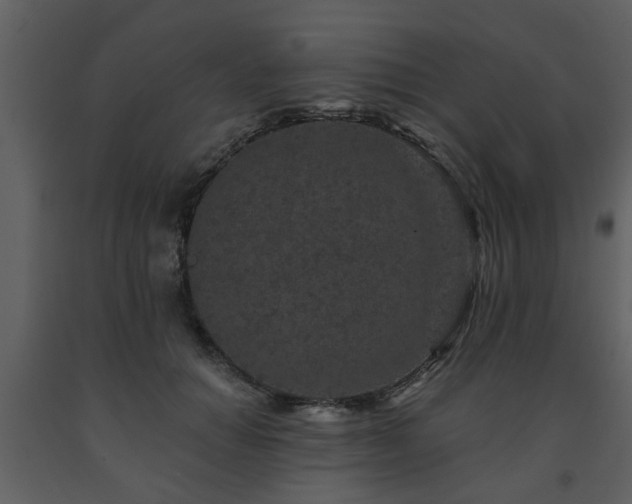 X0000091700654200708241224