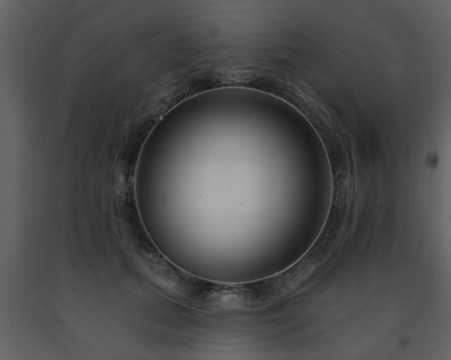 X0000091700655200708241224