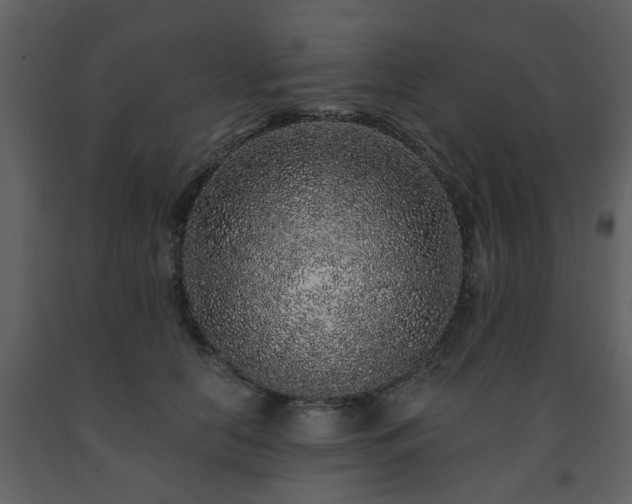 X0000091700658200708241224