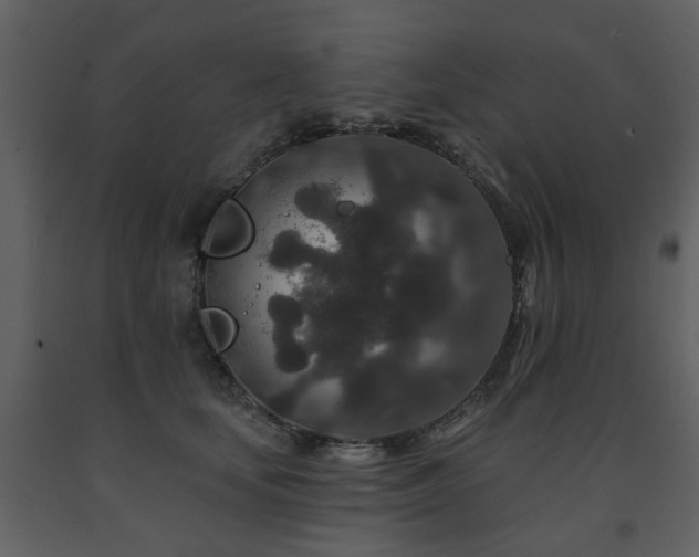 X0000091700659200708241224