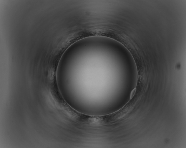 X0000091700660200708241224