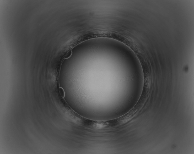 X0000091700662200708241224