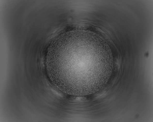 X0000091700663200708241224