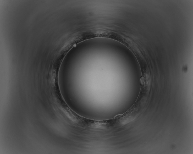 X0000091700664200708241224