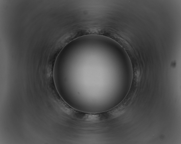 X0000091700665200708241224