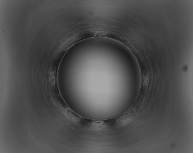X0000091700666200708241224
