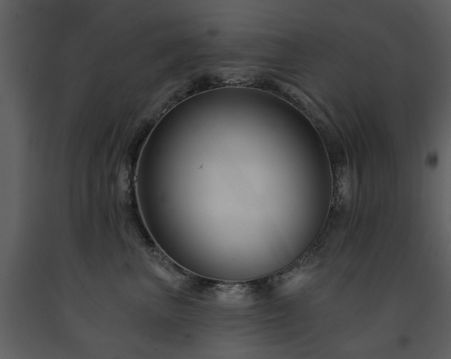 X0000091700667200708241224