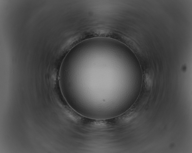 X0000091700668200708241224