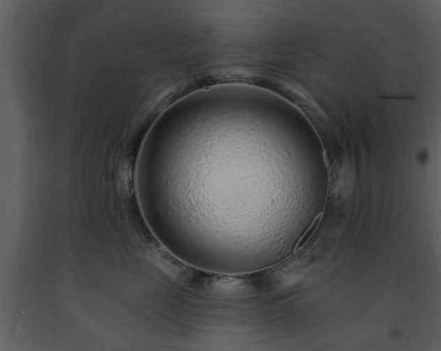 X0000091700669200708241224