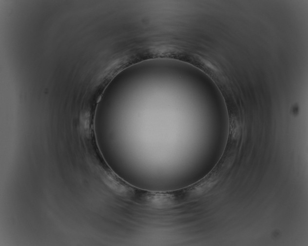 X0000091700670200708241224