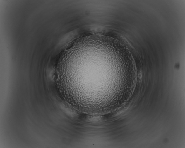 X0000091700671200708241224
