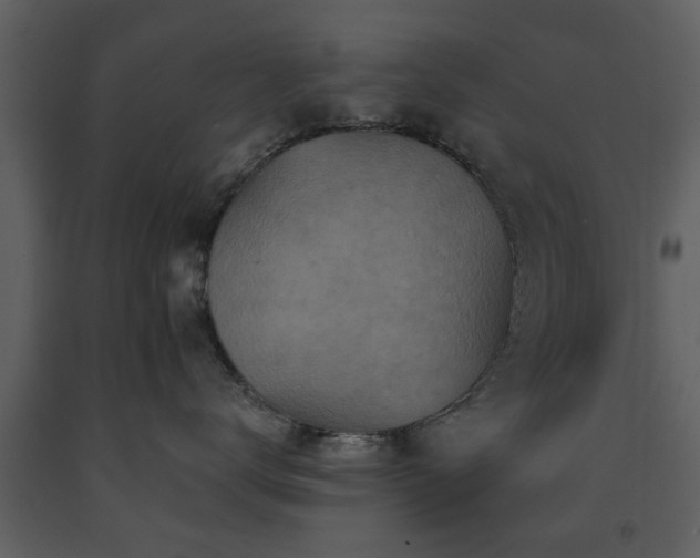 X0000091700672200708241224
